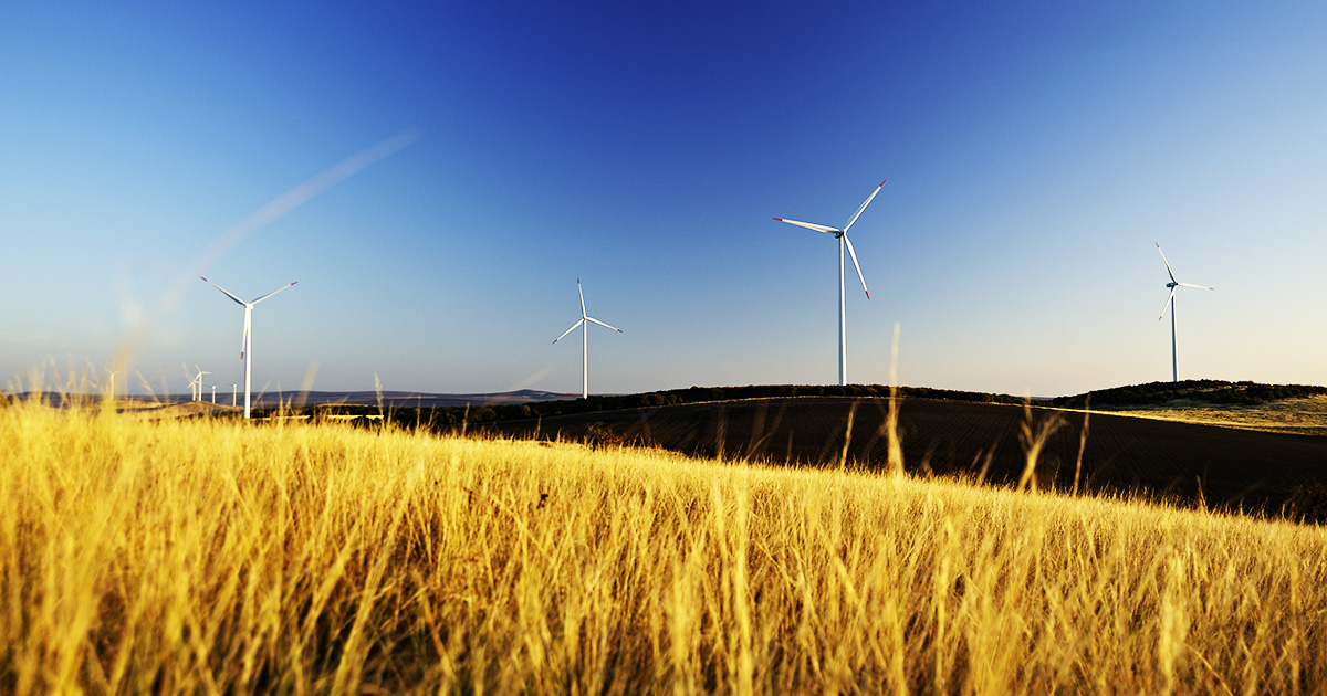 Social-thumbnail-sviluppo-sostenibile